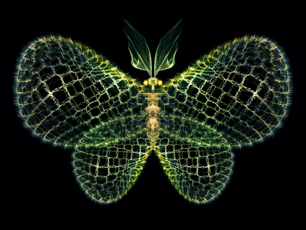 Conceptuele vlinder — Stockfoto