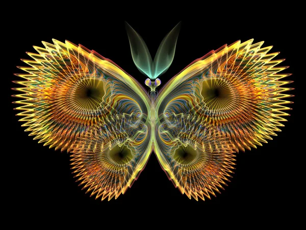 Элегантность бабочки — стоковое фото