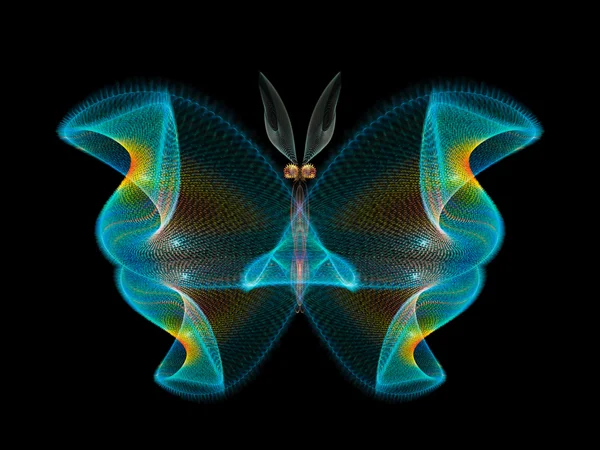 Magic of Butterfly — Stock Photo, Image