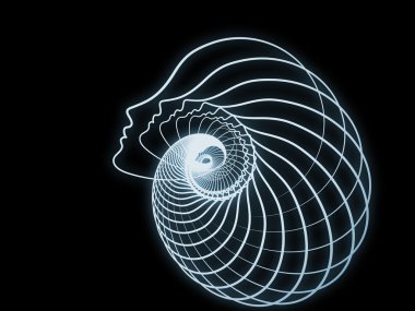 ruhun geometrisi krallıkları