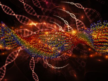 DNA'ın sinerji