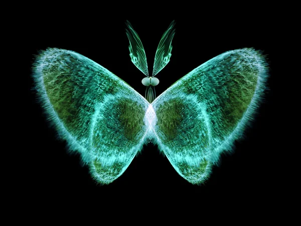 Conceptual Butterfly — Stock Photo, Image