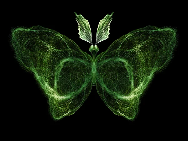 Butterfly Visualization — Stock Photo, Image