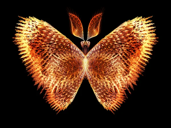 Butterfly Visualization — Stock Photo, Image