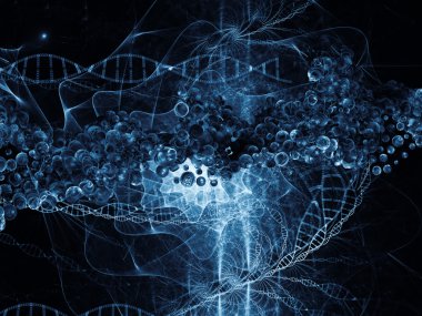 kavramsal dna