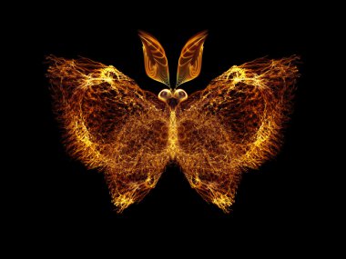 Kelebek arayışı içinde