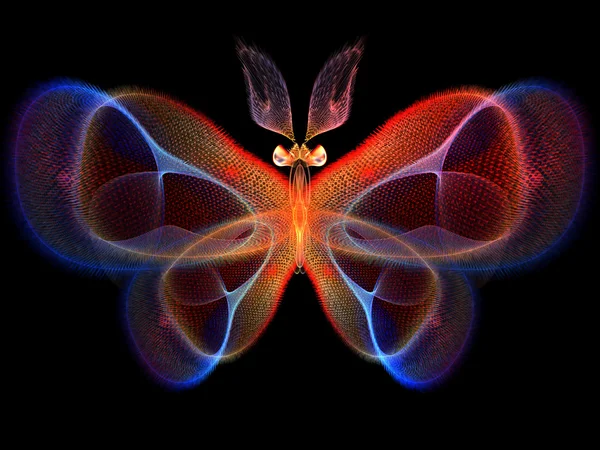 Cool motýl — Stock fotografie