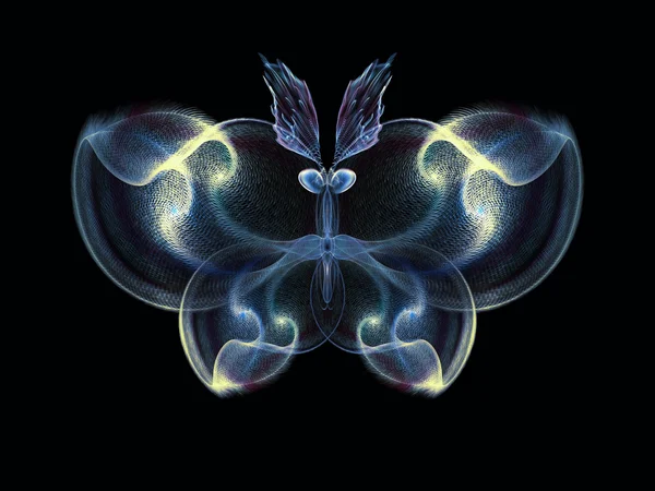 Elegantie van vlinder — Stockfoto