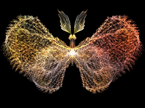 Butterfly Visualization — Stock Photo, Image