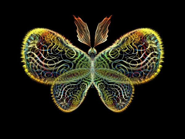 蝴蝶元素 — 图库照片