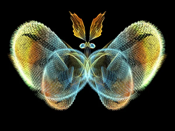 Fractal Butterfly — Stock Photo, Image