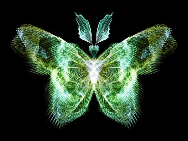 蝶の可視化 — ストック写真