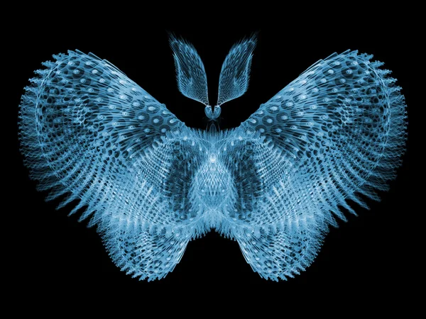 Visualização da borboleta — Fotografia de Stock
