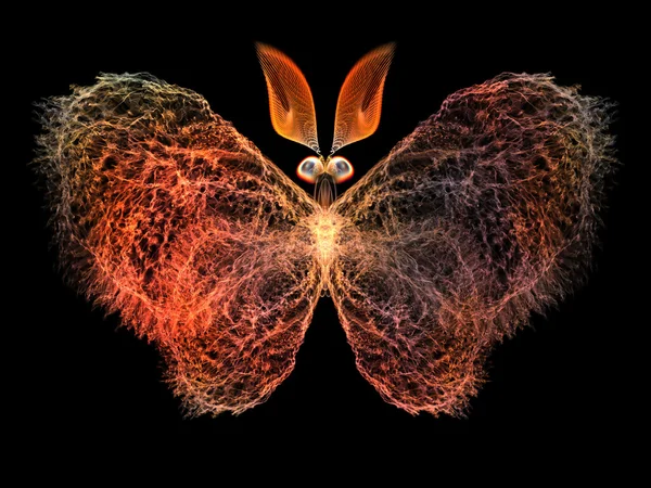 蝴蝶可视化 — 图库照片