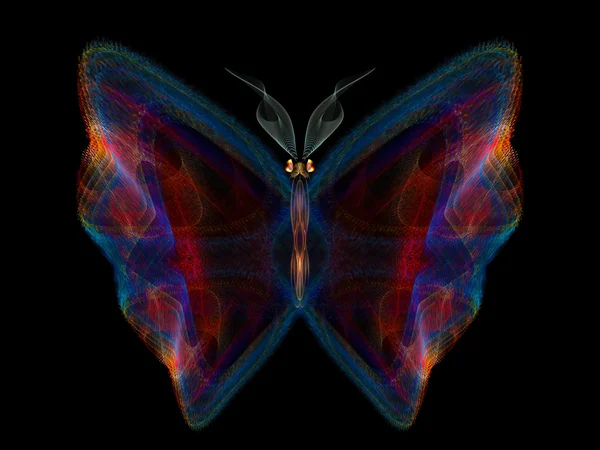 Μαγεία της πεταλούδας — Φωτογραφία Αρχείου