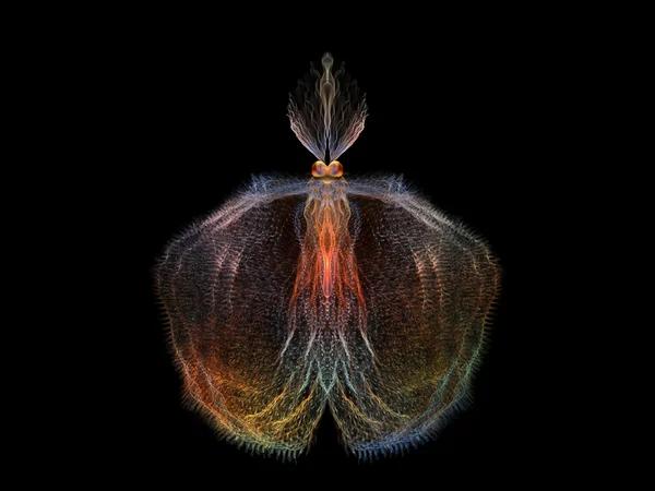 Ingewikkelde vlinder — Stockfoto