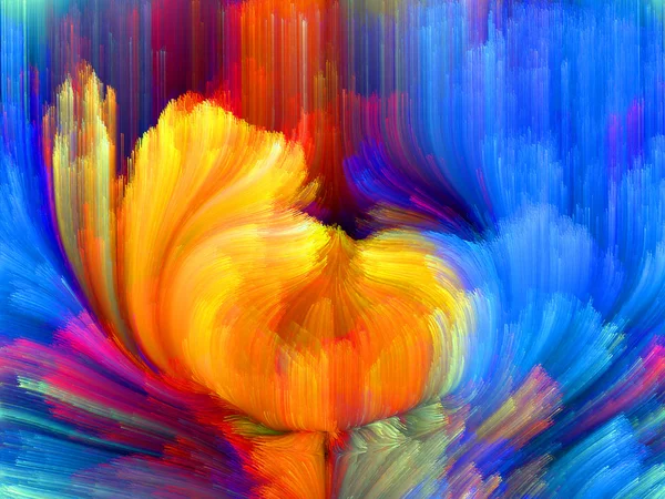 Kleur bloem — Stockfoto