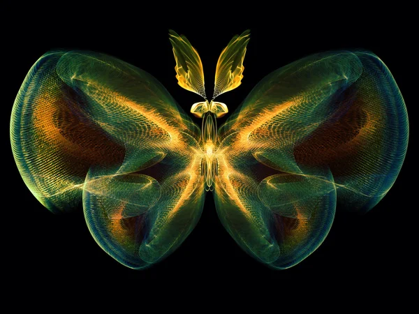 Lights of Butterfly — Stock Photo, Image