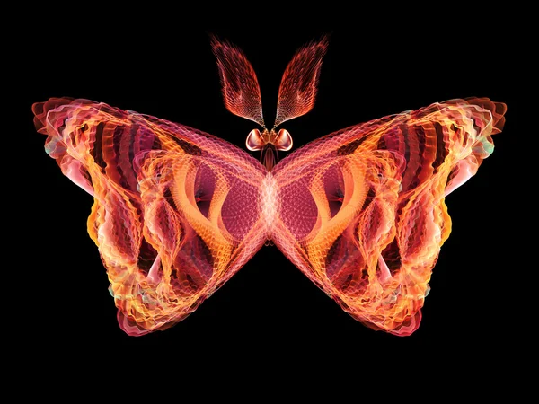 Skenet av fjäril蝴蝶的光辉 — Stockfoto