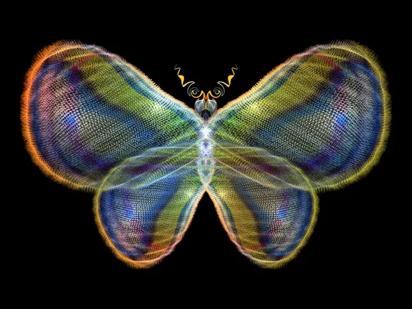 Glow of Butterfly — Stock Photo, Image