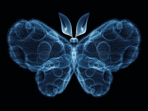 나비의 우 아 — 스톡 사진