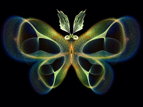 Magia de la mariposa — Foto de Stock