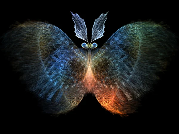 Glow of Butterfly — Stock Photo, Image