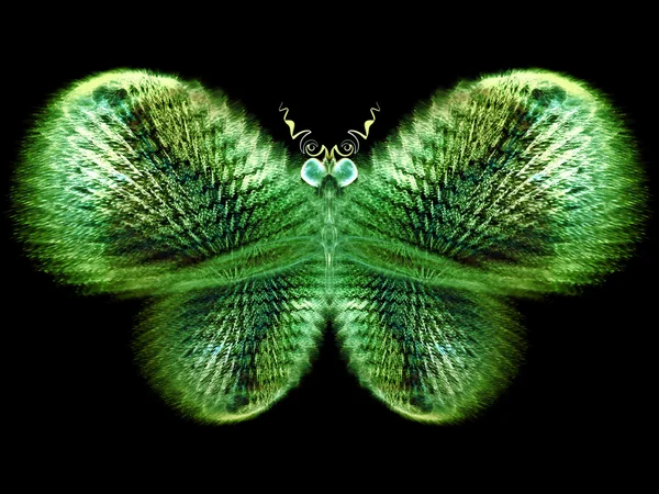 Abstrakcja motyl — Zdjęcie stockowe