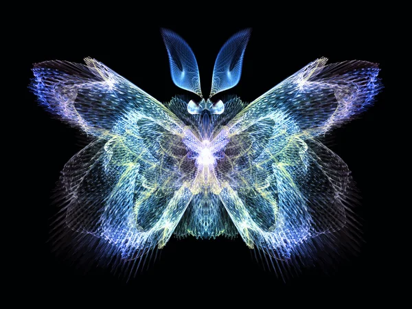 나비의 환상 — 스톡 사진