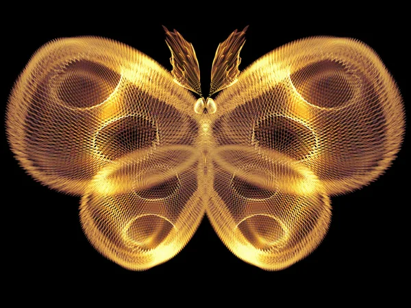 В поисках бабочек — стоковое фото