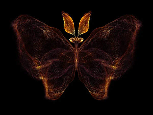 Magie des Schmetterlings — Stockfoto