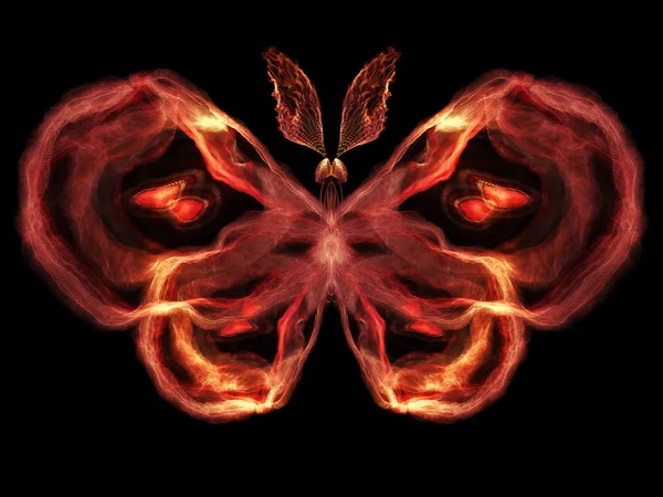 Butterfly Visualization — Stock Photo, Image