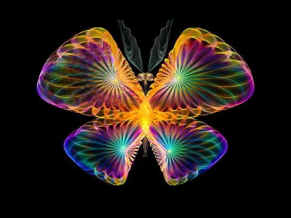 Beautiful Butterfly — Stock Photo, Image