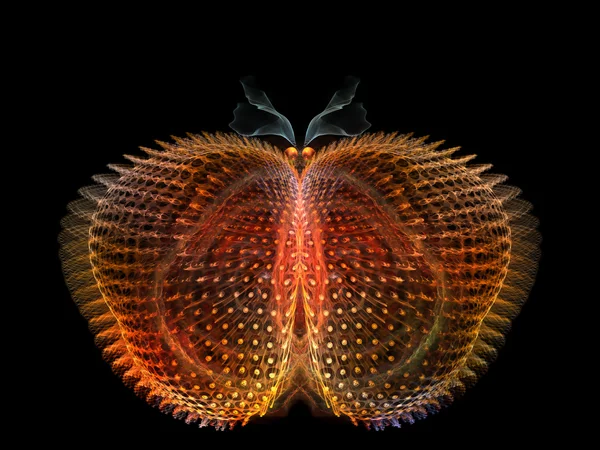 Mariposa intrincada — Foto de Stock