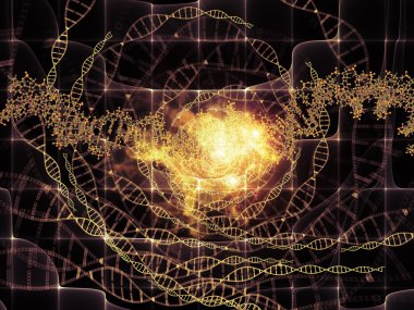 gelişen küçük evren