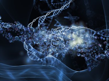 DNA'ın yayılma