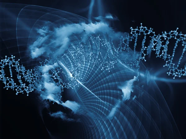 DNS szaporításapropagação do dna — Stock Fotó