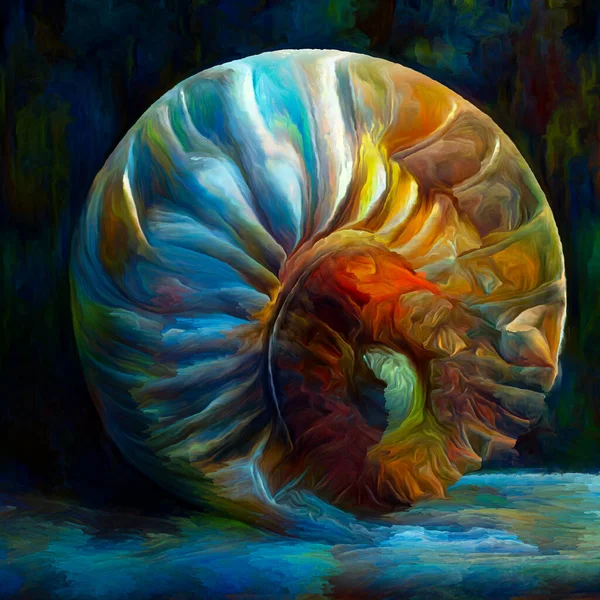 Nautilus Dream Series Interplay Spiral Structures Shell Patterns Colors Abstract — Stok fotoğraf