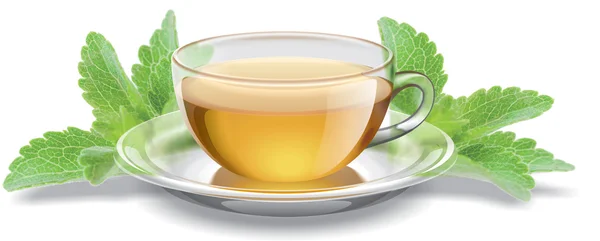 Tea cup with stevia leaves — Stock Photo, Image