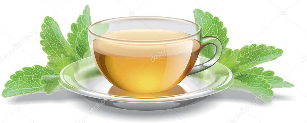 Tea cup with stevia leaves