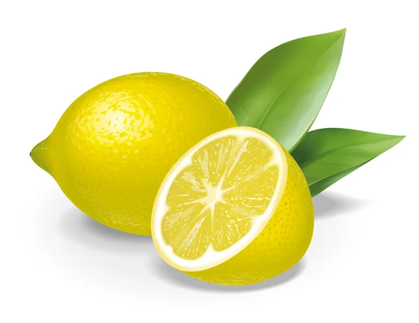 Citron složení — Stock fotografie
