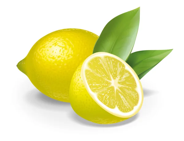 Composizione al limone — Foto Stock