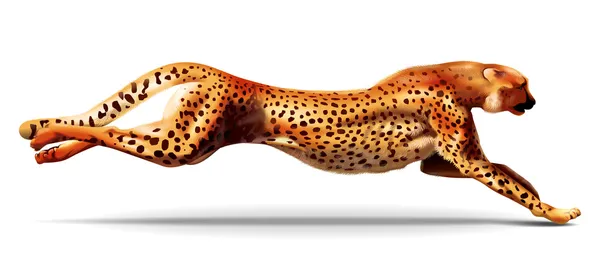 Leopardo num salto. Ilustração . — Fotografia de Stock