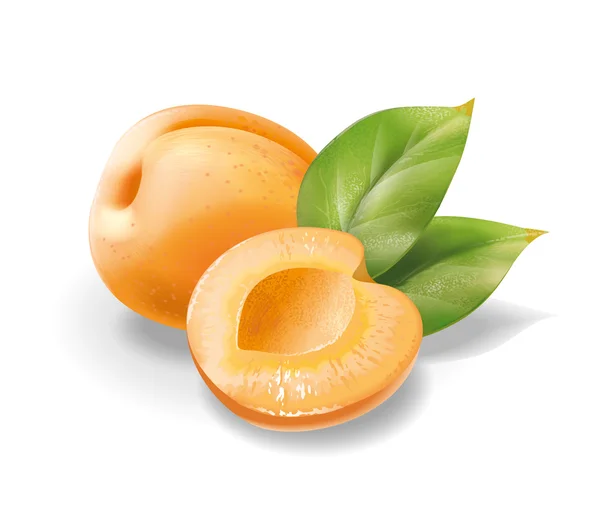 Apricot pitted with leaves — Stock Photo, Image