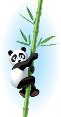 Panda.