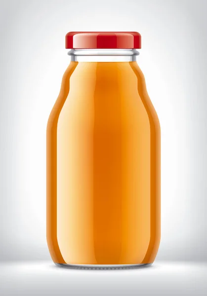 Botol Kaca Dengan Jus — Stok Foto