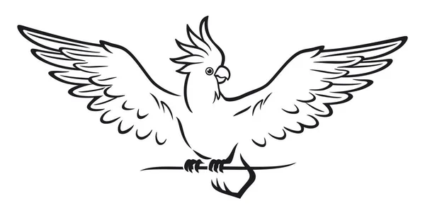 Папуга Какаду Сидить Гілці — стоковий вектор