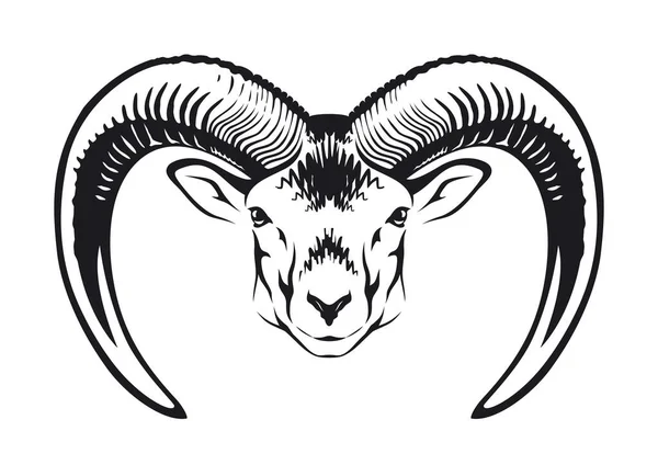 Ram Head Horns Illustration — Stock Vector