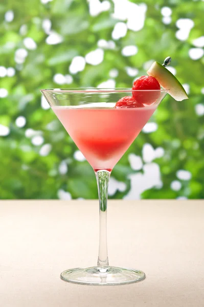 Vattenmelon martini — Stockfoto