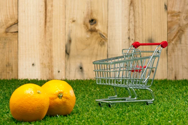 Orange frukt på gräsmattan — Stockfoto